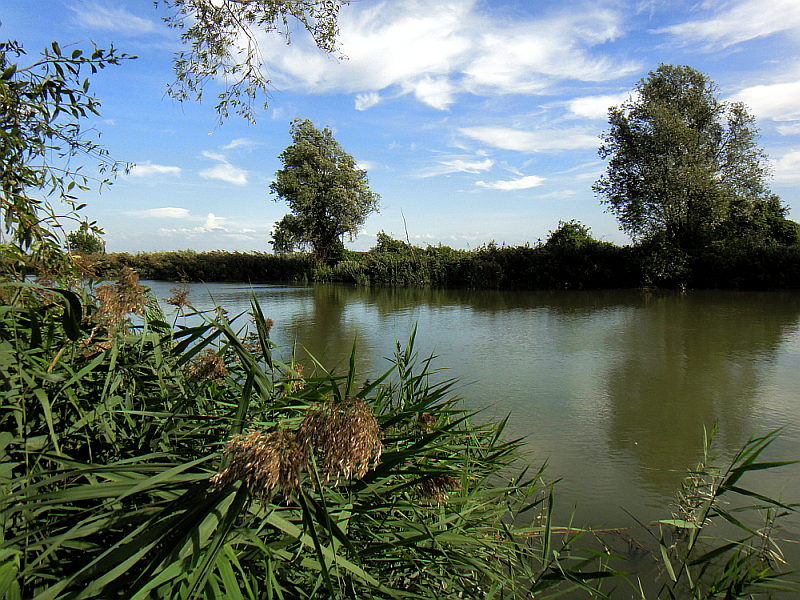 Friuli Venezia Giulia; anfora; canale anfora; Aquielia; Grado; Laguna di Grado; lagune